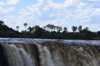 12. Tag - Simbabwe - Victoria Falls (13) &ndash; &copy; Franziska Barthel (Eberhardt TRAVEL)