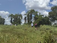 12. Tag - Simbabwe - Victoria Falls (19) &ndash; &copy; Franziska Barthel (Eberhardt TRAVEL)
