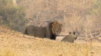 Bootsfahrt auf dem Okavango - erwischt  &ndash; &copy; Annett Müller (Eberhardt TRAVEL)