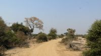 Pirschfahrt im Mahango Park &ndash; &copy; Annett Müller (Eberhardt TRAVEL)