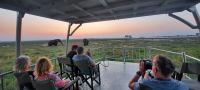 Bootsfahrt auf dem Chobe  &ndash; &copy; Annett Müller (Eberhardt TRAVEL)