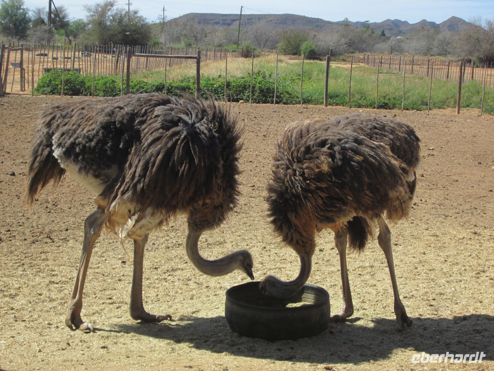 Guten Appetit! &ndash; &copy; Heike Heinen (Eberhardt TRAVEL)