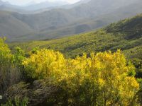 am Robinson-Pass &ndash; &copy; Heike Heinen (Eberhardt TRAVEL)