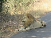 na endlich.... &ndash; &copy; Heike Heinen (Eberhardt TRAVEL)