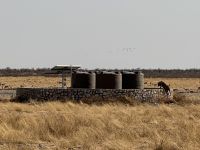 Gemsbok Flakte &ndash; &copy; Nicole Madeleine Ogola (Eberhardt TRAVEL)