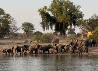Am Okavango &ndash; &copy; Nicole Madeleine Ogola (Eberhardt TRAVEL)
