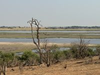 Chobe NP &ndash; &copy; Nicole Madeleine Ogola (Eberhardt TRAVEL)