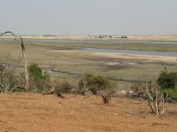 Chobe NP &ndash; &copy; Nicole Madeleine Ogola (Eberhardt TRAVEL)