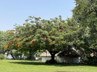 Chobe Safari Lodge &ndash; &copy; Nicole Madeleine Ogola (Eberhardt TRAVEL)