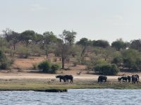 Chobe NP &ndash; &copy; Nicole Madeleine Ogola (Eberhardt TRAVEL)