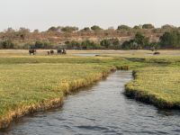Chobe NP &ndash; &copy; Nicole Madeleine Ogola (Eberhardt TRAVEL)
