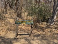 Vic Falls NP &ndash; &copy; Nicole Madeleine Ogola (Eberhardt TRAVEL)