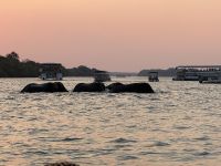 Sambesi Bootsfahrt &ndash; &copy; Nicole Madeleine Ogola (Eberhardt TRAVEL)