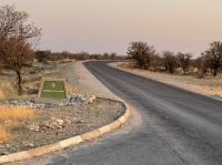 Etosha NP &ndash; &copy; Nicole Madeleine Ogola (Eberhardt TRAVEL)