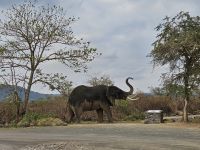 Eingang Arisha-Nationalpark &ndash; &copy; Anna Jeske (Eberhardt TRAVEL)