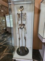 Olduvai-Museum, Skelett &ndash; &copy; Anna Jeske (Eberhardt TRAVEL)