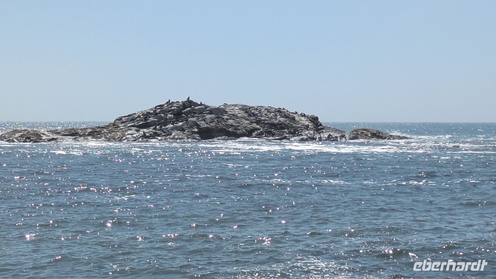 Robbeninsel, Diaz Point &ndash; &copy; Geena Dutschmann (Eberhardt TRAVEL)