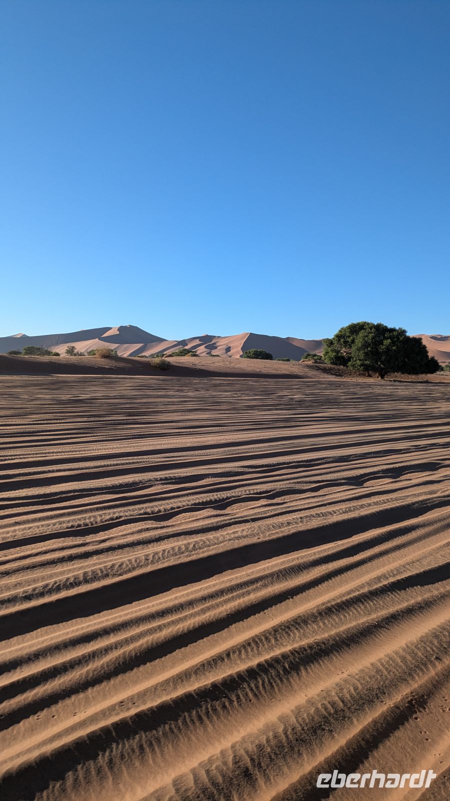 Fahrt zum Dead Vlei &ndash; &copy; Geena Dutschmann (Eberhardt TRAVEL)