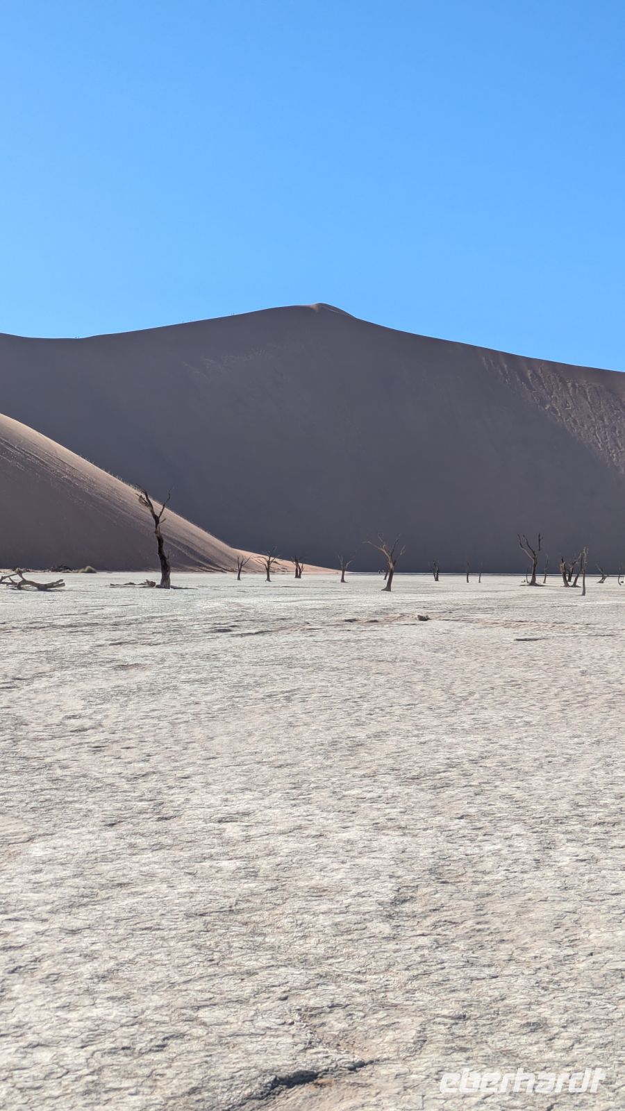 Dead Vlei + Big Daddy &ndash; &copy; Geena Dutschmann (Eberhardt TRAVEL)