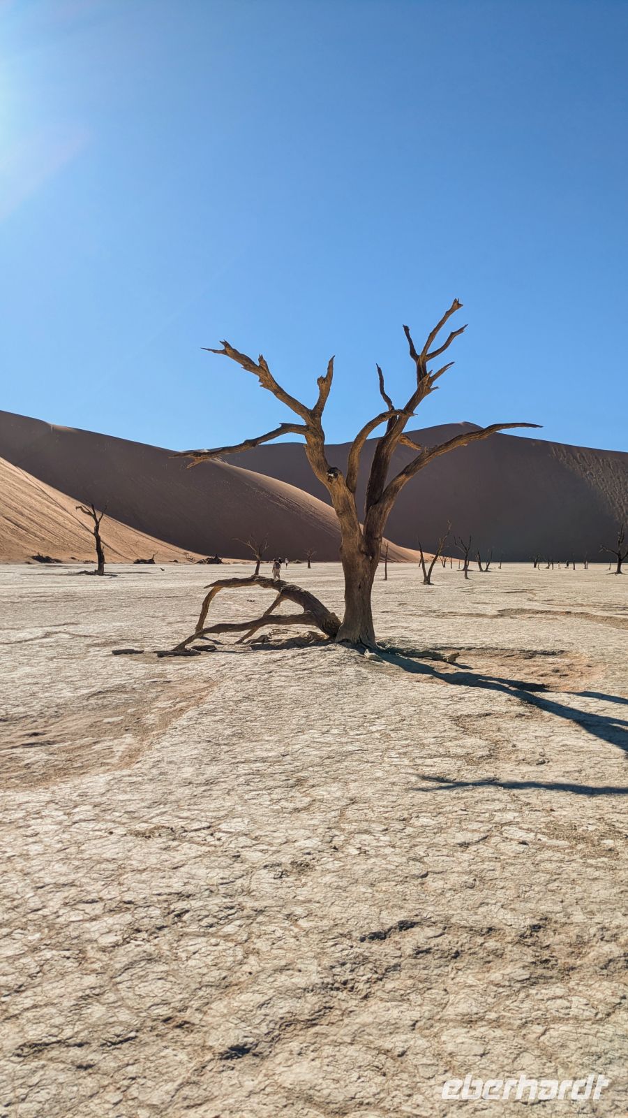 Dead Vlei &ndash; &copy; Geena Dutschmann (Eberhardt TRAVEL)