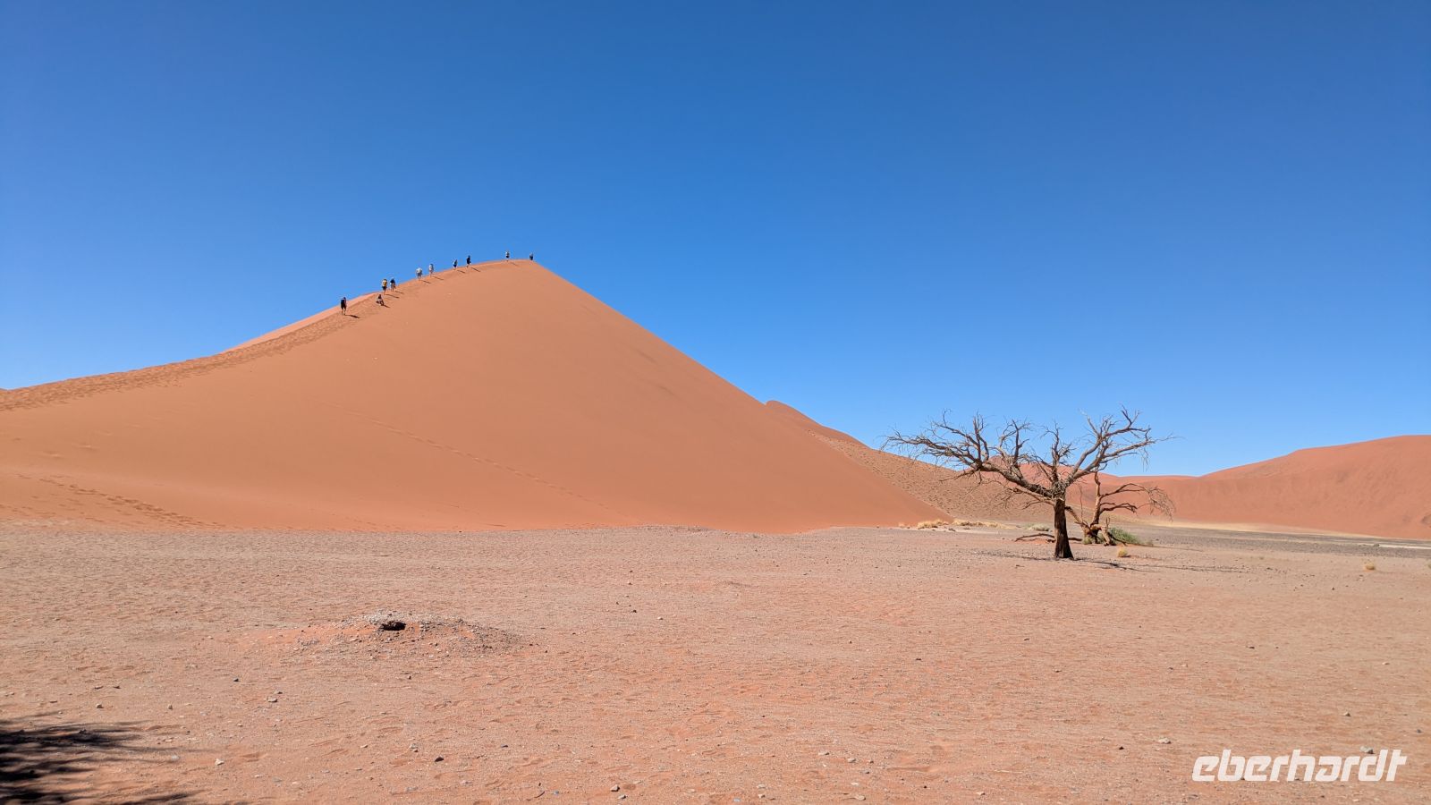Düne 45 &ndash; &copy; Geena Dutschmann (Eberhardt TRAVEL)