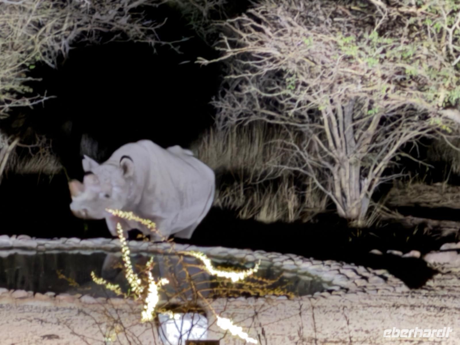 Nashorn am Wasserloch, Ai Aiba Rock Painting Lodge &ndash; &copy; Geena Dutschmann (Eberhardt TRAVEL)