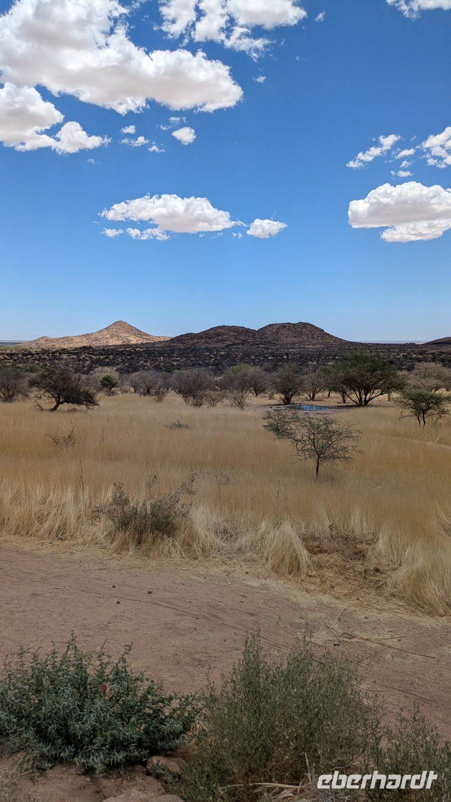 Wasserloch, Ai Aiba Rock Painting Lodge &ndash; &copy; Geena Dutschmann (Eberhardt TRAVEL)