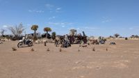 Skulpturen Giants Playground &ndash; &copy; Geena Dutschmann (Eberhardt TRAVEL)