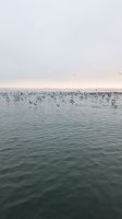 Bootsausflug,Walvis Bay &ndash; &copy; Geena Dutschmann (Eberhardt TRAVEL)