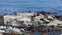 Südafrika - Kap der Guten Hoffnung &ndash; &copy; Annett Müller (Eberhardt TRAVEL)
