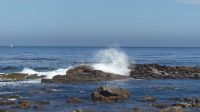 Südafrika - Kap der Guten Hoffnung &ndash; &copy; Annett Müller (Eberhardt TRAVEL)