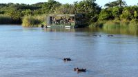 Südafrika - St. Lucia - Bootsfahrt &ndash; &copy; Annett Müller (Eberhardt TRAVEL)