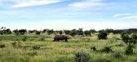 20260322_173726.jpg &ndash; &copy; Annett Müller (Eberhardt TRAVEL)