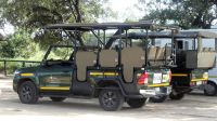 Südafrika - Kruger Nationalpark - Pirschfahrt &ndash; &copy; Annett Müller (Eberhardt TRAVEL)