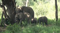 Südafrika - Kruger Nationalpark &ndash; &copy; Annett Müller (Eberhardt TRAVEL)