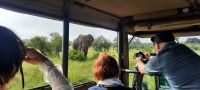 Südafrika - Kruger Nationalpark  &ndash; &copy; Annett Müller (Eberhardt TRAVEL)