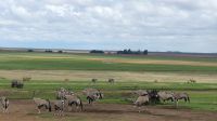 Südafrika - Raststätte Azul -Oryxe &ndash; &copy; Annett Müller (Eberhardt TRAVEL)