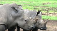 Südafrika - Raststätte Azul &ndash; &copy; Annett Müller (Eberhardt TRAVEL)