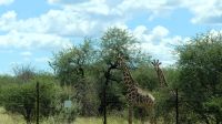Namibia - on the road &ndash; &copy; Annett Müller (Eberhardt TRAVEL)