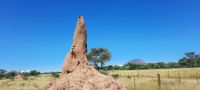 Namibia - on the road - Termintenhügel &ndash; &copy; Annett Müller (Eberhardt TRAVEL)