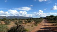Namibia - Pirschfahrt Mount Etjo &ndash; &copy; Annett Müller (Eberhardt TRAVEL)