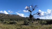 Namibia - Pirschfahrt Mount Etjo &ndash; &copy; Annett Müller (Eberhardt TRAVEL)