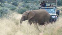 Namibia - Pirschfahrt Mount Etjo - Roadblock &ndash; &copy; Annett Müller (Eberhardt TRAVEL)