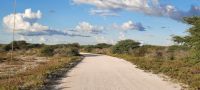 Namibia - Pirschfahrt Etosha &ndash; &copy; Annett Müller (Eberhardt TRAVEL)