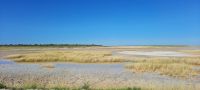 Namibia - Pirschfahrt Etosha &ndash; &copy; Annett Müller (Eberhardt TRAVEL)