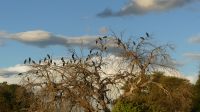Namibia - Bootsfahrt auf dem Okavango &ndash; &copy; Annett Müller (Eberhardt TRAVEL)