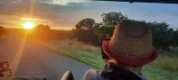 Botswana - Pirschfahrt im Chobe Nationalpark am Morgen &ndash; &copy; Annett Müller (Eberhardt TRAVEL)