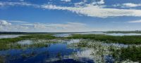 Botswana - Bootsfahrt auf dem Chobe River &ndash; &copy; Annett Müller (Eberhardt TRAVEL)