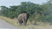 Simbabwe unterwegs &ndash; &copy; Annett Müller (Eberhardt TRAVEL)