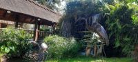 Simbabwe - Vic Falls - A Zambesi River Lodge &ndash; &copy; Annett Müller (Eberhardt TRAVEL)